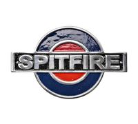 Spitfire Cast Aluminium Plaque, RAF Logo Design, Blue and Red Enamel, Metal Wall Decor
