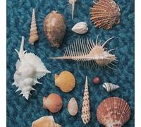 Spitz Cycle Hit 1991-1997 Spitz Complete Single Collection (CD)