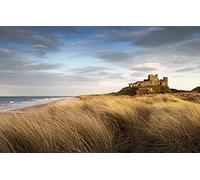SPJOYSP Number Painting Adults Painting Kits,Natural Scenery,Castle,Bamburgh Castle,16X20 inch