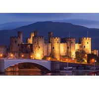 SPJOYSP Paint by Numbers for Adults Accessories Adult,Natural Scenery,Bridge,Wales,Conwy Castle,16X20 inch