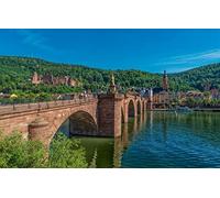 SPJOYSP Paint by Numbers for Adults Beginners Halloween Painting Crafts for Kids City Bridge Castle Buildings Germany Old Bridge Baden Wurttemberg Heidelberg Castle 16X20 inch