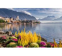 SPJOYSP Paint by Numbers for Adults Colour by Numbers Kids,Natural Scenery,Mountains,Switzerland,Montreux,16X20 inch