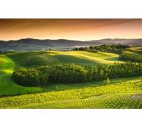 SPJOYSP Paint by Numbers for Adults Crafts,Natural Scenery,Italy,Countryside,Green Fields,16X20 inch with Frame