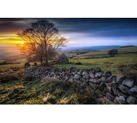 SPJOYSP Paint by Numbers Kits Figures to Paint,Natural Scenery,Peak District,Dry Stone Walls,16X20 inch with Frame