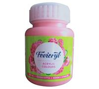 SPL Acrylic & Multi Surface Paint Colour for Art & Craft (100 Ml Btl) Pidilite Fevicryl (SALMON PINK)