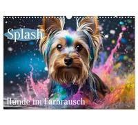 Splash - Dogs in a color frenzy UK-Version (Wall Calendar 2026 DIN A3 Landscape), CALVENDO 12 Month Wall Calendar