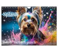 Splash - Dogs in a color frenzy UK-Version (Wall Calendar 2026 DIN A4 Landscape), CALVENDO 12 Month Wall Calendar