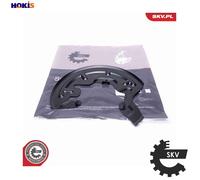 ESEN SKV 57SKV191 Brake disc backing plate