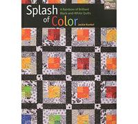 Splash of Color: A Rainbow of Brilliant Black-And-White Quilts (That Patchwork Place)