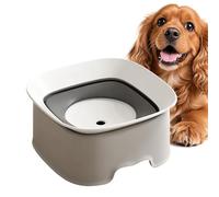 Splash-proof Dog Bowl - Drinking and Feeding Bowl for Pets | Slow Dog Water Bowl - for Home, Living Room, Kitchen, Apartment, Dining Area, Every Corner and for Alone Time