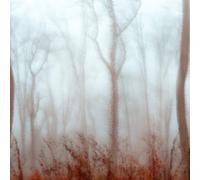 Splashwall Brown Winter Forest Mdf Splashback, (H)1220mm (W)2440mm (T)10mm