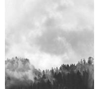 Splashwall Matt Black & White Misty Woods Acrylic Splashback, (H)600mm (W)2440mm (T)4mm