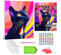 Splat Planet Black Cat Framed Diamond Painting Kit, Rhinestone, Framed Diamond Art, 5D Diamond Painting Kit, Home Wall Decoration,Arts and Crafts for Adults,Kids,30x40cms