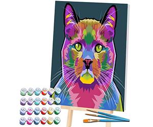 Splat Planet Cat Pets Painting by Numbers Framed, Fluorescent Neon Paint, Colouring by Numbers, Painting for Wall Art, Paint by Number Kits On Canvas for Adults, Kids. 30x40cms
