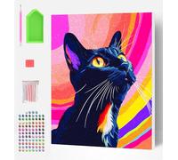 Splat Planet Framed Diamond Painting Kit, Rhinestone, Framed Diamond Art, 5D Diamond Painting Kit, Home Wall Decoration,Arts and Crafts for Adults,Kids,30x40cms (Black Cat)