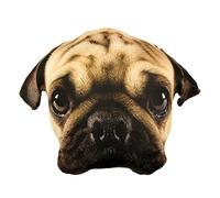 Splat Planet Plush 3D Pillow Cushion, Giant Realistic Plush Stuffed Toy Funny Kids, Decorative Unique Floor cushion, Animal Themed Cushion, Seat cushions For Bedroom Chairs, Playroom