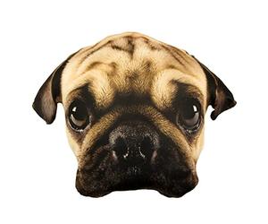 Splat Planet Plush 3D Pillow Cushion, Giant Realistic Plush Stuffed Toy Funny Kids, Decorative Unique Floor, Animal Themed, Seat Cushions For Bedroom Chairs, Playroom