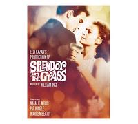 Splendor in the Grass (1961)