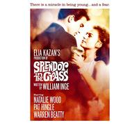 Splendor In The Grass - Natalie Wood - Remastered [DVD] [1961]