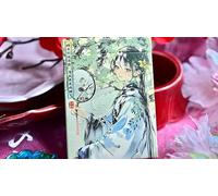 Splendor of the Four Seasons - Summer Playing Cards by Hidden Light | Custom Art Deck | Premium Stock | Collectible Cards for Magic, Cardistry & Display