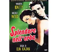 Splendore Nell'erba (1948)