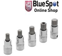 SPLINE BITS 5 PIECE SOCKET SET M10 - M18 MALE 1/2" DRIVE SOCKETS,BLUE SPOT 01509