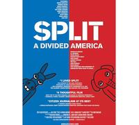 Split: A Divided America (docsville.com)