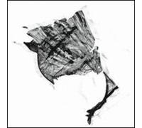 Split Cranium - Sceptres To Rust [7" VINYL]