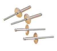 Split Rivets, Aluminum Alloy Blind Rivet Assortment Kit | Multiple Sizes Fastening for Boat, Duct, Home Hardware(4.8x16mm)