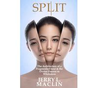 SPLIT: The Architecture of a Fragmented Soul and the Divine Process to Wholeness