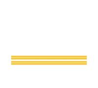 Splitter Winglet Side Wing For Mustang 2000-2021 GT For Shelby 500 Car Stickers Styling Vinyl Door Striped Side Skirt Racing Sport Body Decals Side Skirt Extension(Glossy Yellow)
