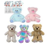 Splodge Teddy Bear Making Parties - 10-inch Mixed Bears Party Pack - No Sew