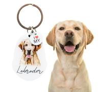 Splosh Pet Keyring Labrador - Personalised Dog Key Ring and Chain - Customised Gifts for Dog Lovers - Key Rings and Tags