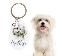 Splosh Pet Keyring Maltese. Personalised Keyring. Dog Key Ring Personalised Gifts. Customised Gifts Dog Key Chain. Key Rings for Dog Lovers. Dog Accessories, Dog Key Tags. (PTK018)
