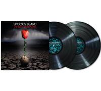 Spock's Beard The Archaeoptimist LP multicolor Onesize