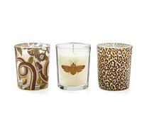 Spode Creatures of Curiosity Set of 3 Votive Candles, Multi Coloured, CRC4232-XG