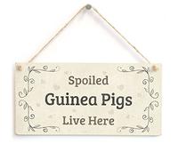 Spoiled Guinea Pigs Live Here - Beautiful Handmade Gift Sign for Guinea Pig Owners