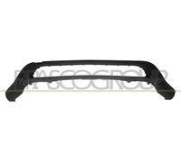 Spoiler Centre Bumper Front