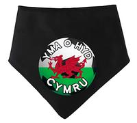 Spoilt Rotten Pets Black S3 'YMA O HYD' We Are Still Here Red Dragon Cymru Wales Welsh Supporter World Cup Football (Black, S3 Medium Dogs, Labs, Staffies & Springers)