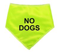 Spoilt Rotten Pets Hi Viz No Dogs - Dog Bandana For Dogs & Cats (S2 Small Dogs Terrier, Shih-Tzu & Cockers)