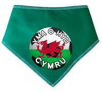 Spoilt Rotten Pets S2 Green 'YMA O HYD' We Are Still Here Red Dragon Cymru Wales Welsh Supporter World Cup Football (Green, S2 Small Dogs Terrier, Shih-Tzu & Cockers)