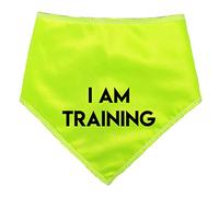 Spoilt Rotten Pets S2 Hi Viz I Am Training Dog Bandana For Dogs & Cats (S2 Small Dogs Terrier, Shih-Tzu & Cockers)