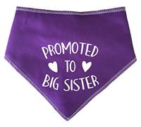 Spoilt Rotten Pets S2 Purple Promoted To Big Sister Dog Bandana - For Dogs Baby Showers & Announcement Gender Reveal (S2 Small Dogs Terrier, Shih-Tzu & Cockers)