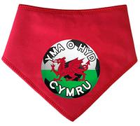 Spoilt Rotten Pets S2 Red 'YMA O HYD' We Are Still Here Red Dragon Cymru Wales Welsh Supporter World Cup Football (Red, S2 Small Dogs Terrier, Shih-Tzu & Cockers)