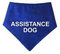Spoilt Rotten Pets S3 ASSISTANCE dog medium blue dog bandana warning warning for medical help and fears for dogs working in size golden retrievers, Dalmatians, Labradors and workers