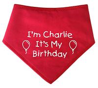 Spoilt Rotten Pets S3 Personalised Red It's My Birthday Dog Bandana Party Dress Up Dog Costume Gift