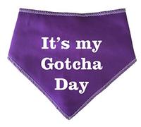 Spoilt Rotten Pets S3 Purple 'It's My Gotcha Day' Cute The Day We Got You Message For Rescue & Adopted Dogs