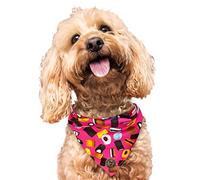 Spoilt Rotten Pets Tied Neckerchief Dog Bandana Fancy Dress Dog Costume (Small Fits Up To 16" Neck, Liquorice Pawsorts Pink)