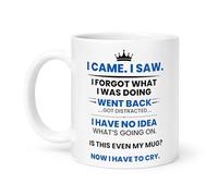 Spomo I Came I Saw I Forgot, Have to CRY Mug Funny Joke for Her Him Birthday 11oz Ceramic Coffee Mug, 330ml