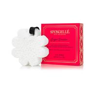 Spongellé Boxed Flower Shower Gel Infused Body Buffer, Sugar Dahlia